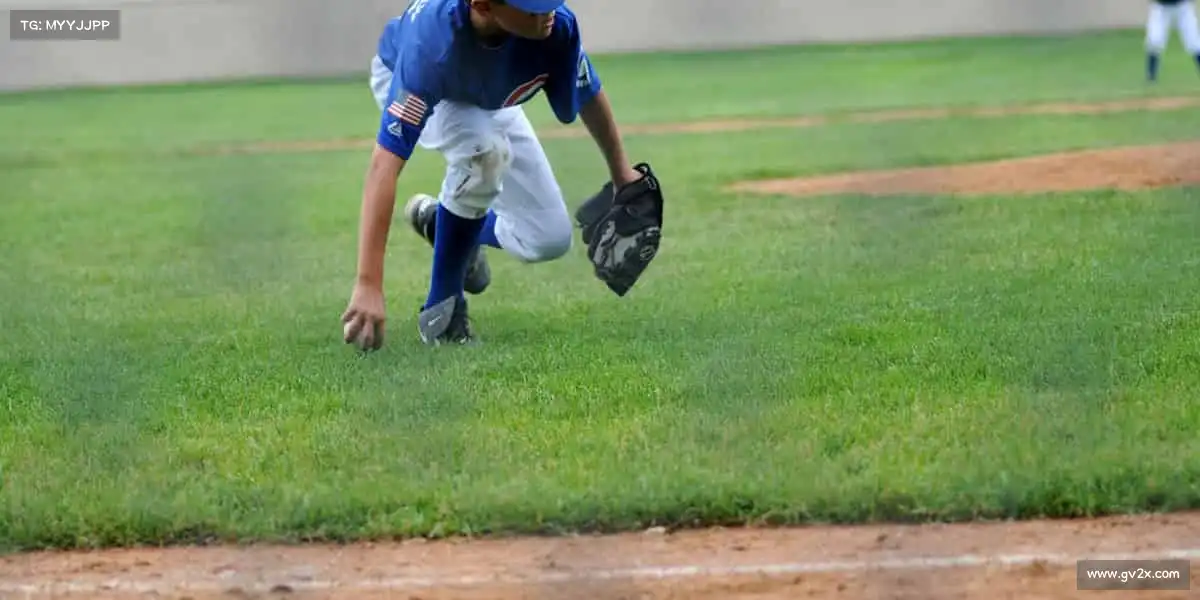 行业领先的理由